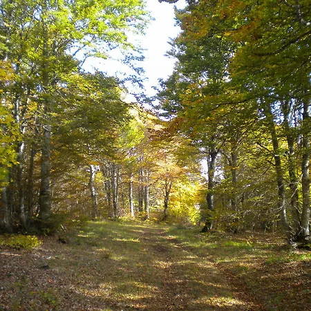 Gitaubrac Laguiole